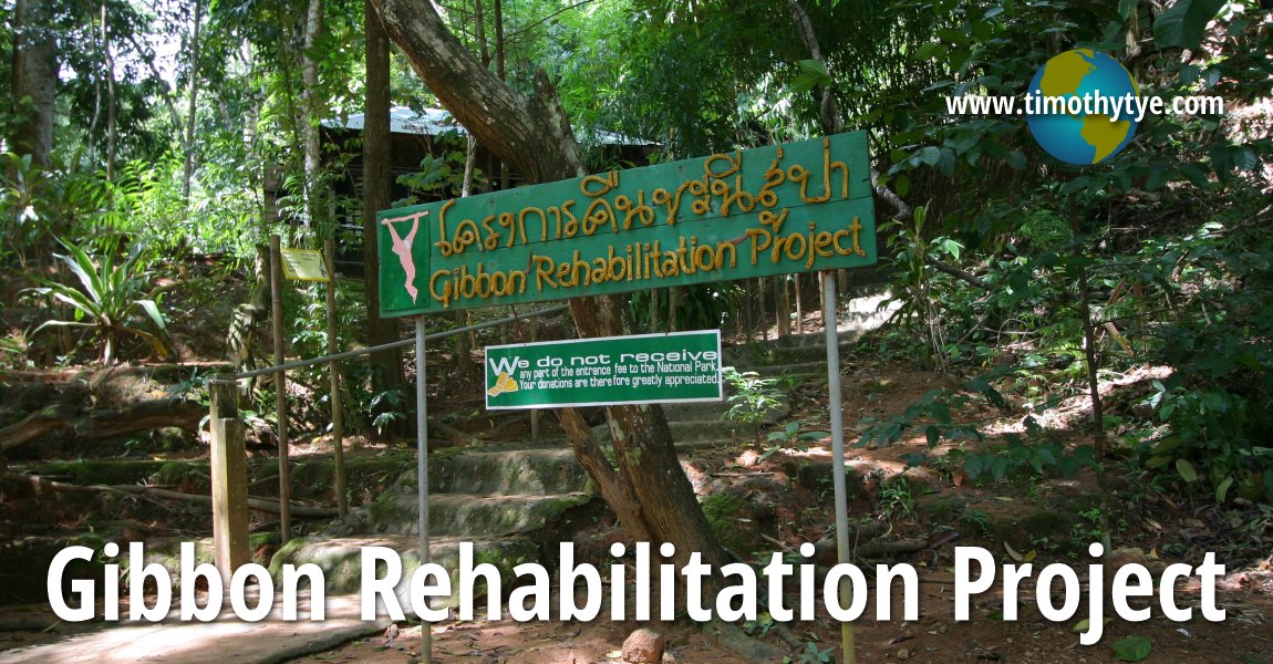 Gibbon Rehabilitation Project, Phuket