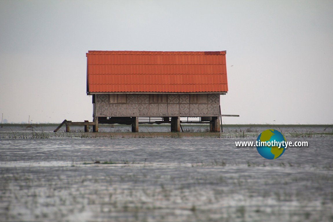 The Little House on Thale Luang