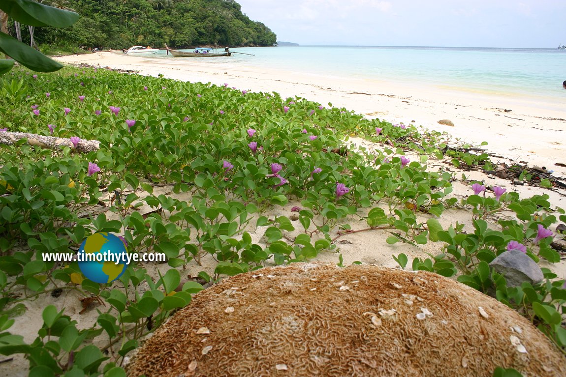 Loh Moo Dee Beach