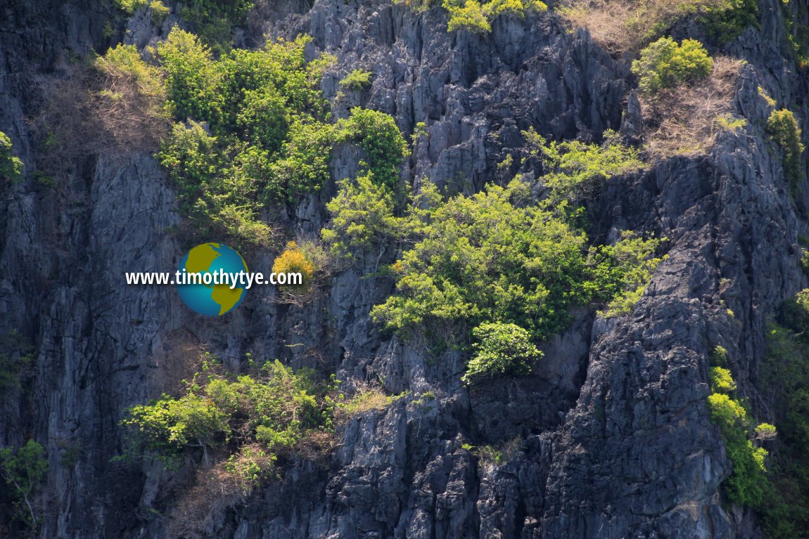 Vegetation on Ko Waen