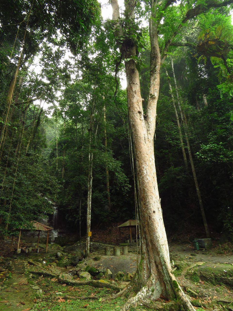 Air Terjun Sungai Semangkuk