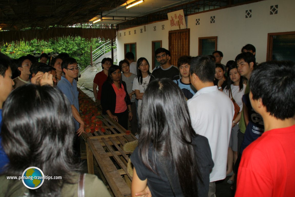 2007 AsiaExplorers Durian Feast