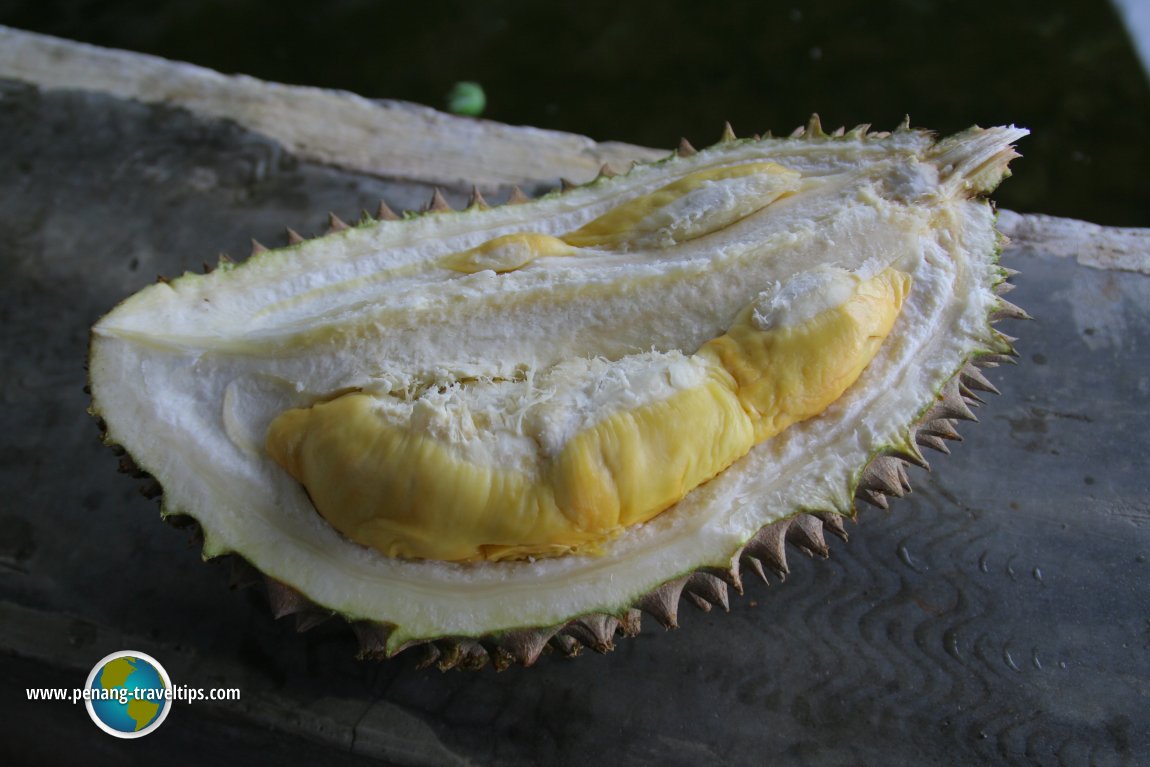 2007 AsiaExplorers Durian Feast