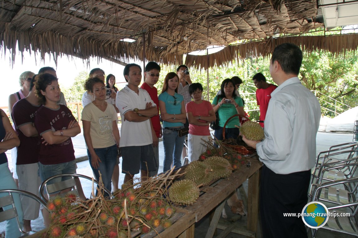 2008 AsiaExplorers Durian Feast