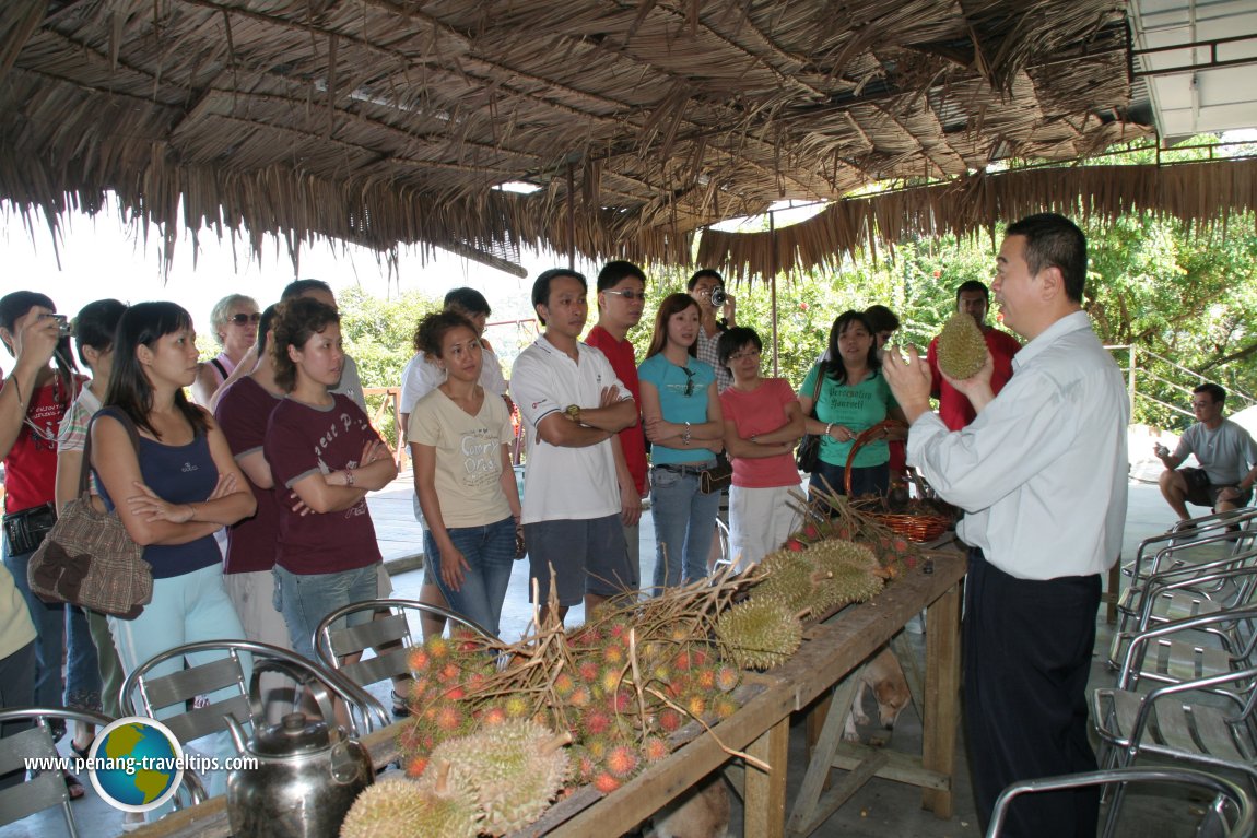 2008 AsiaExplorers Durian Feast