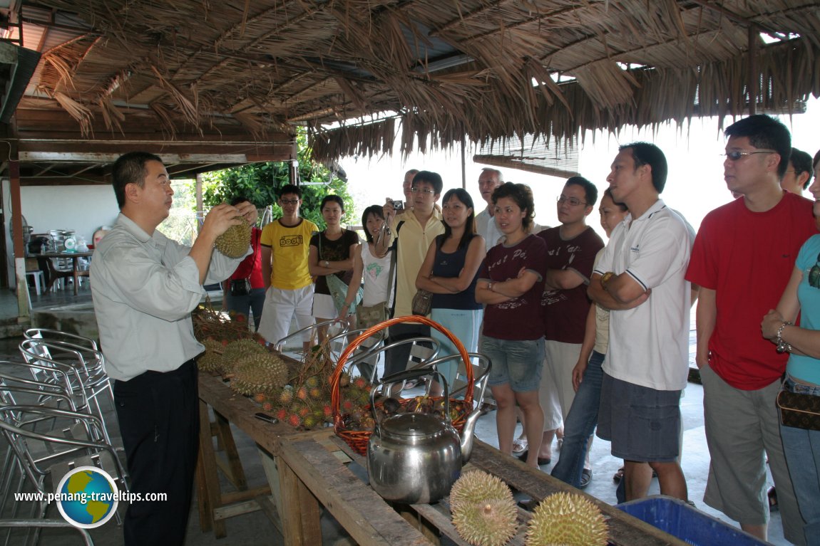 2008 AsiaExplorers Durian Feast