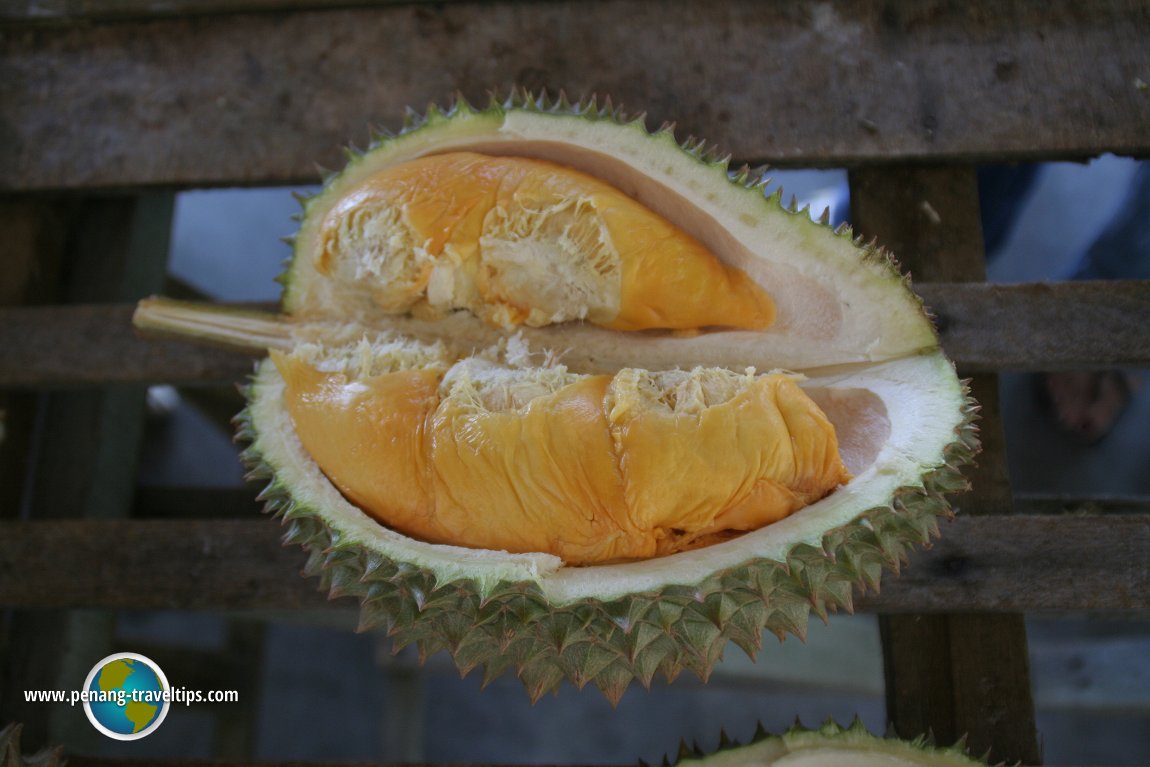 2008 AsiaExplorers Durian Feast