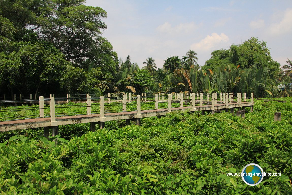 Air Hitam Dalam Educational Forest