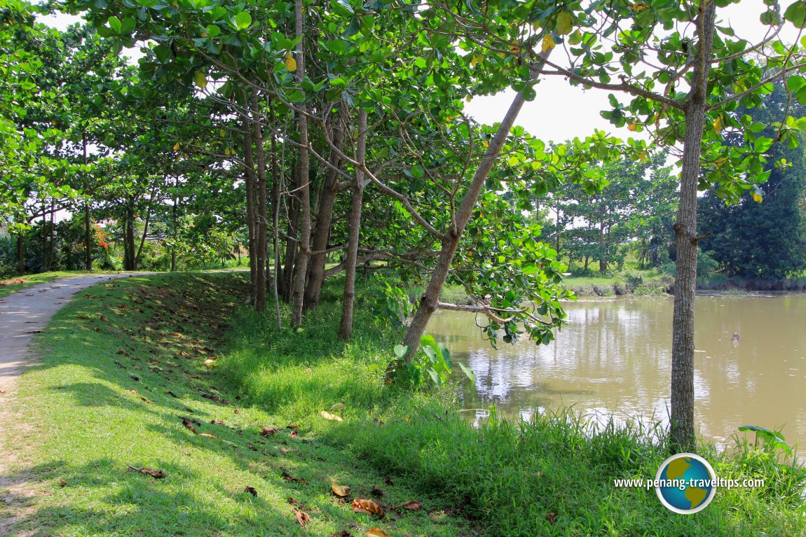 Air Hitam Dalam Educational Forest