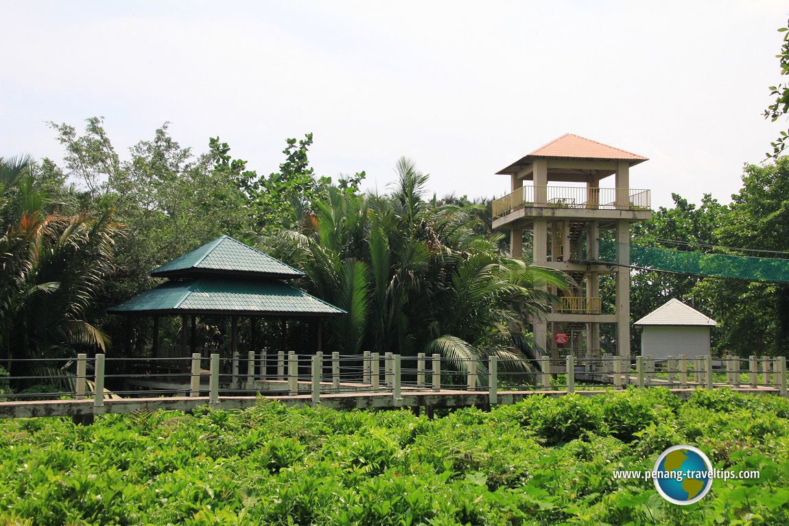 Air Hitam Dalam Educational Forest