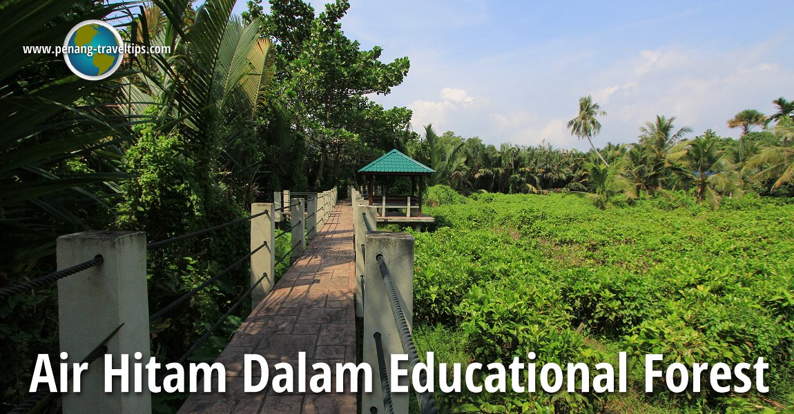 Air Hitam Dalam Educational Forest