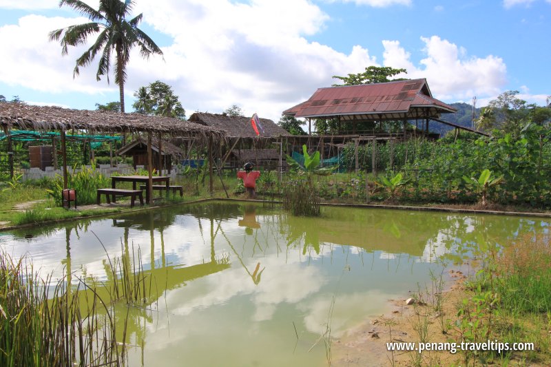 Audi Dream Farm