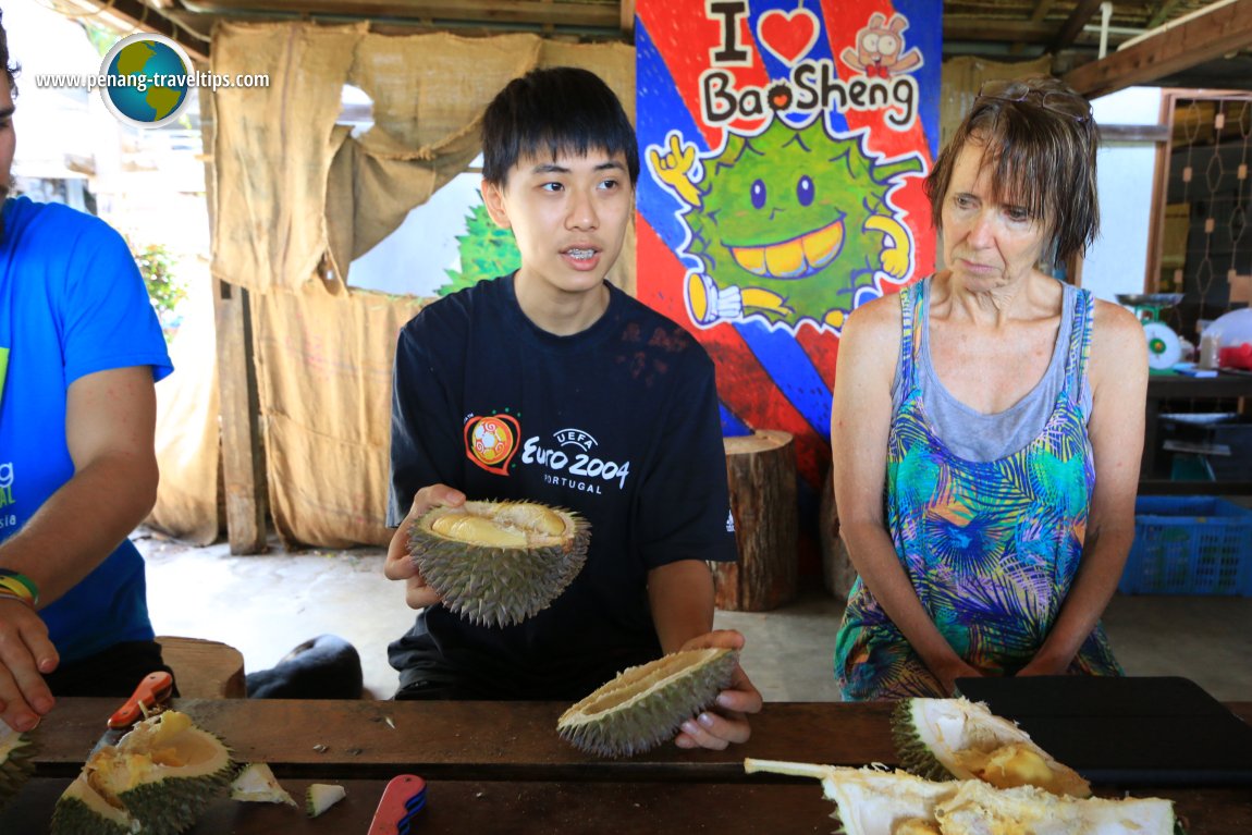 Bao Sheng Durian Farm