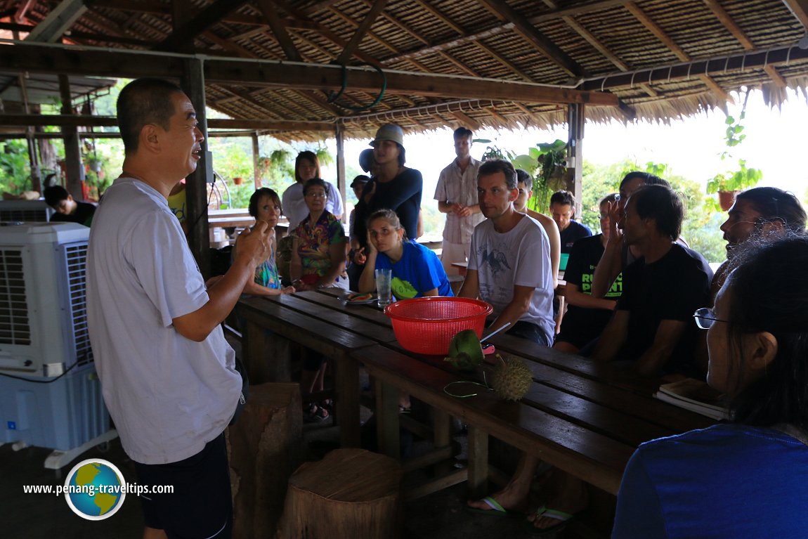 Bao Sheng Durian Farm