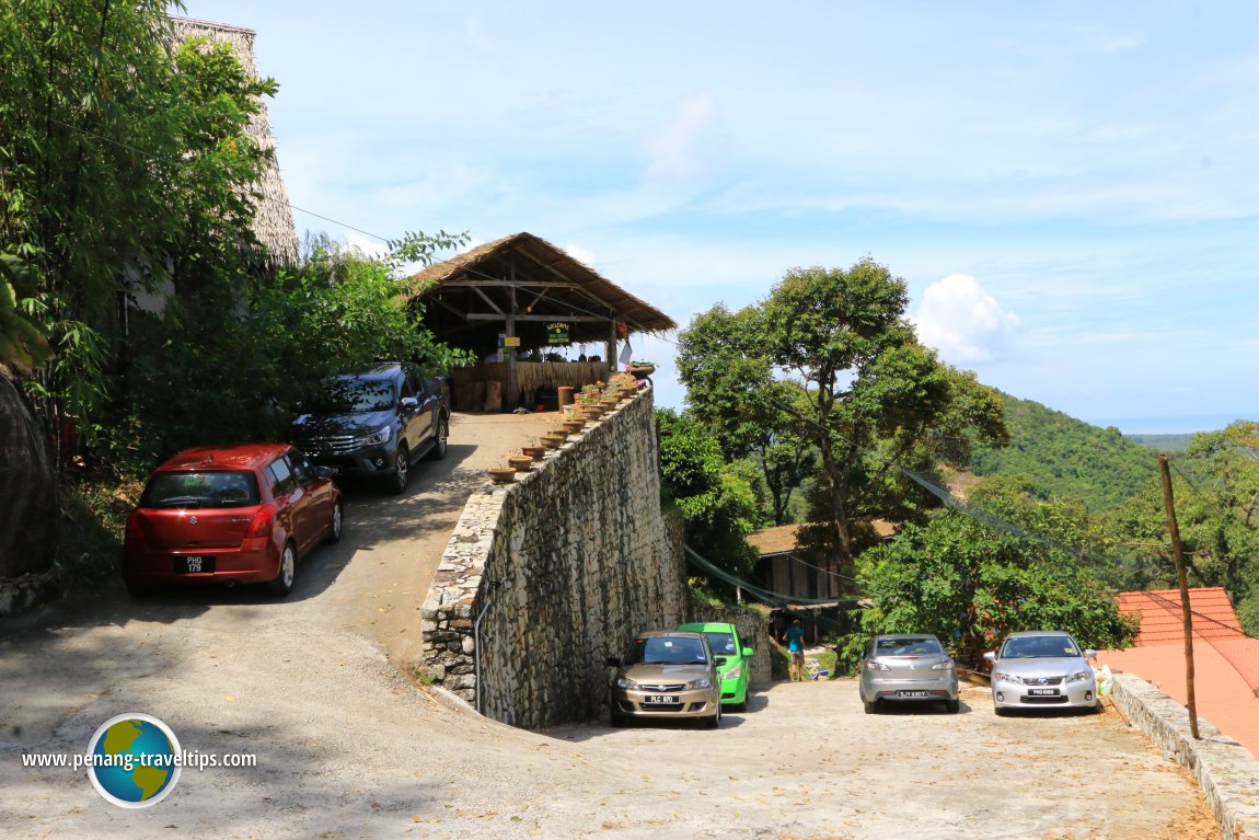 Bao Sheng Durian Farm