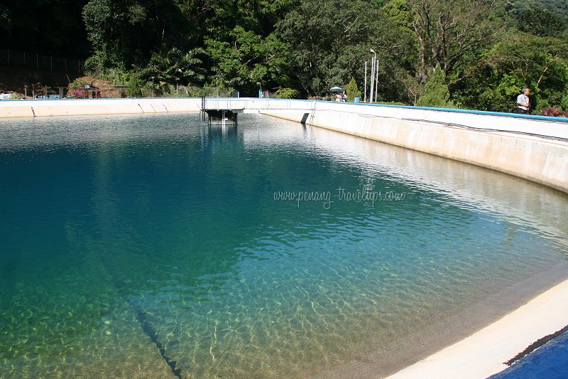 Botanic Gardens Reservoir