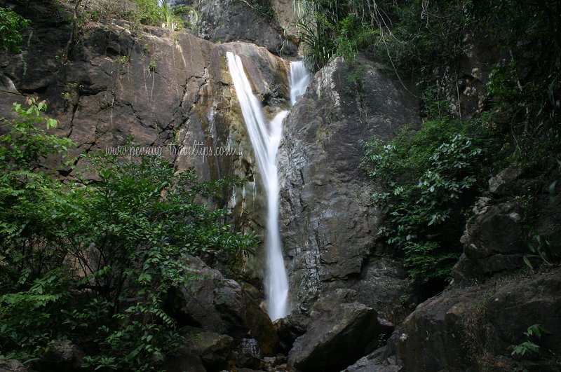 Botanic Gardens Waterfall's two main branches