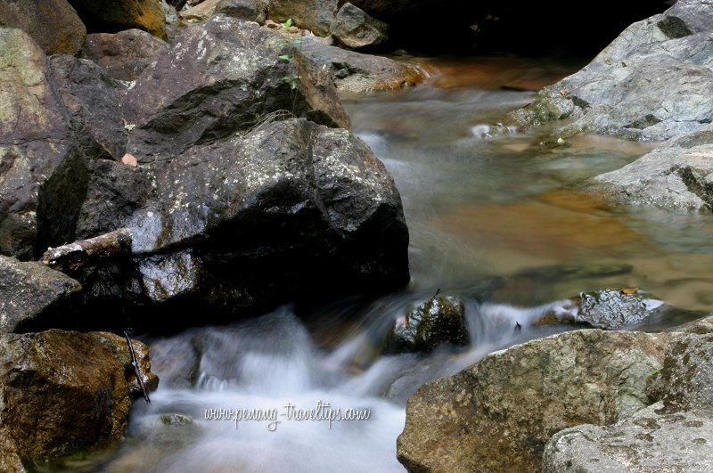 Pool below the Botanic Gardens Waterfall