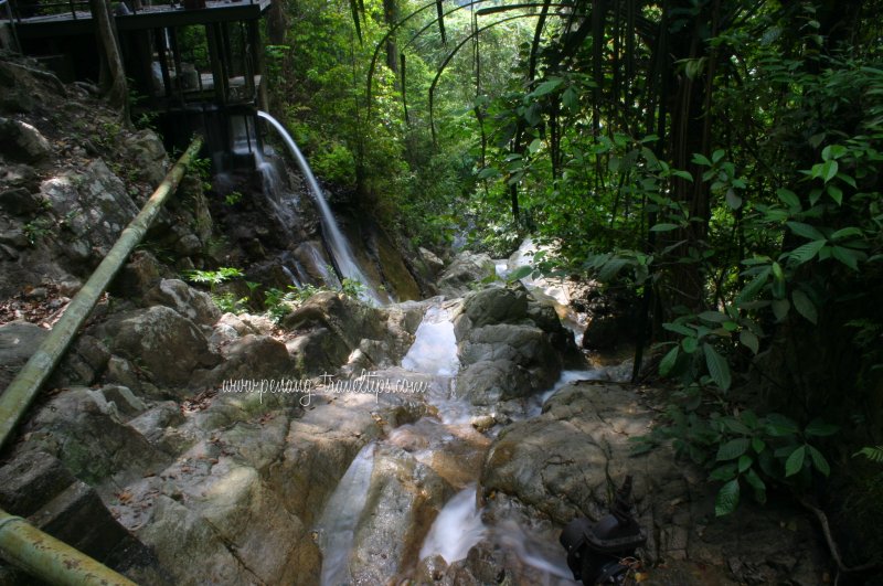 The Botanical Gardens Waterfall gushes down towards the river below