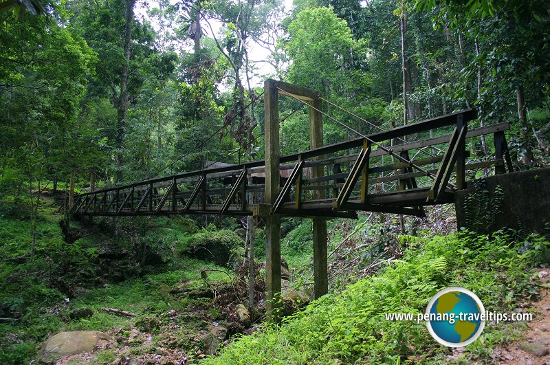 Bukit Mertajam Recreational Forest