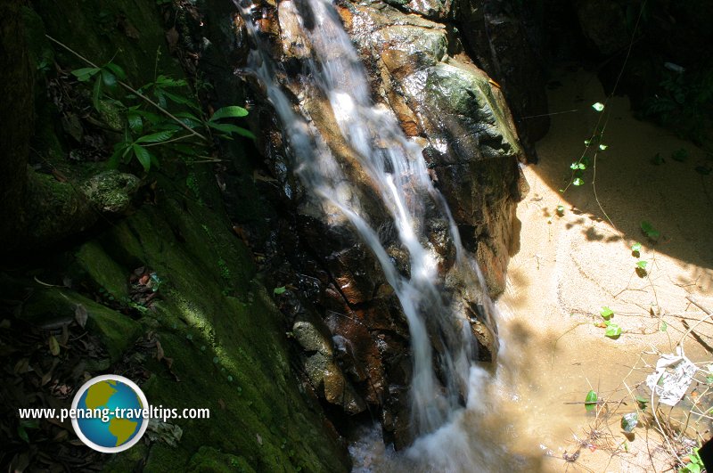 Bukit Mertajam Recreational Forest