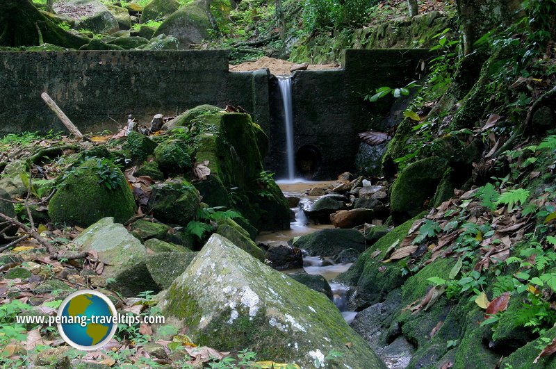 Bukit Mertajam Recreational Forest