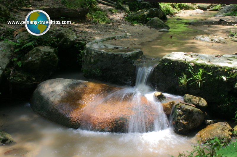 Bukit Mertajam Recreational Forest