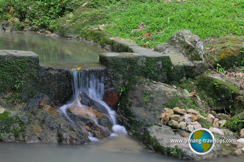 Bukit Mertajam Recreational Forest