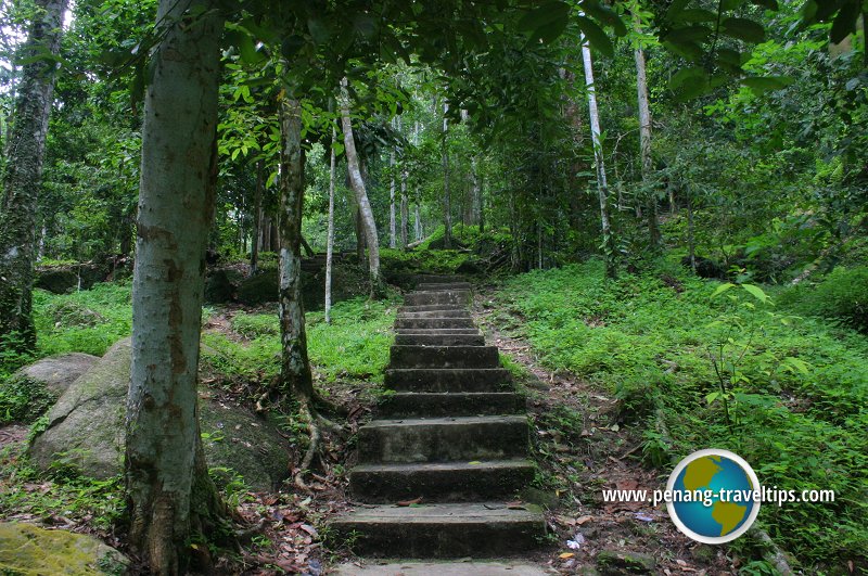 Bukit Mertajam Recreational Forest