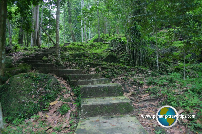 Bukit Mertajam Recreational Forest