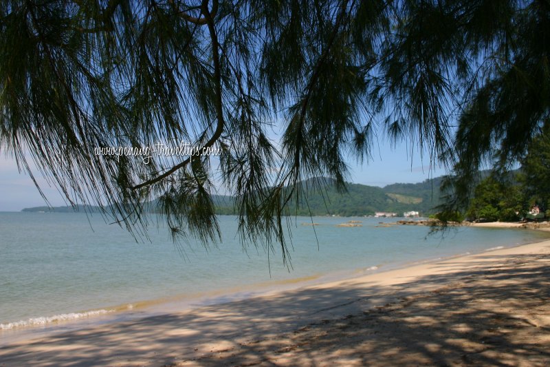 The beach at Teluk Bayu peeking from under the casuarinas