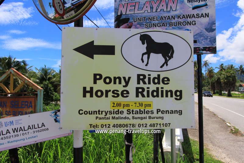 Countryside Stables Penang signage