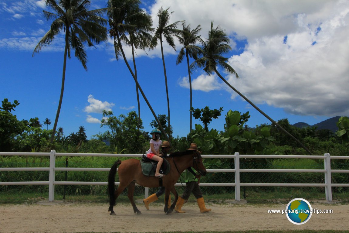 Countryside Stables Penang