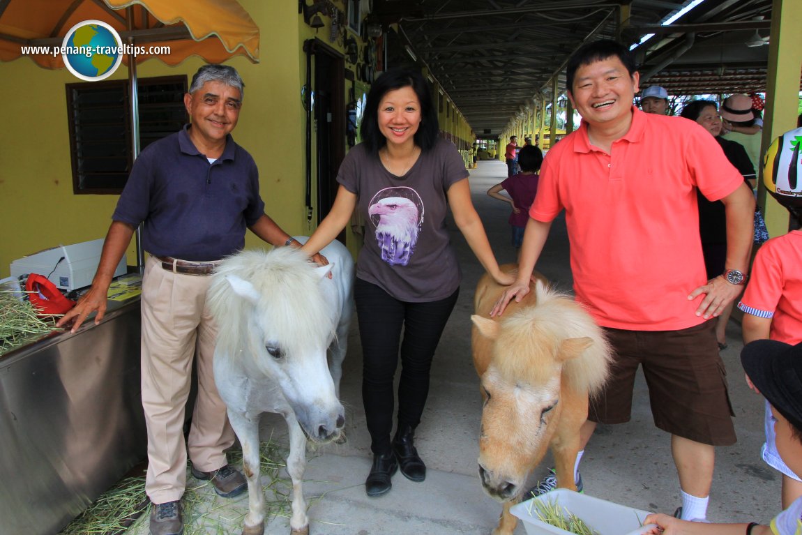 Countryside Stables Penang