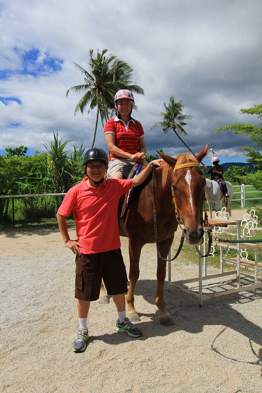 Countryside Stables Penang