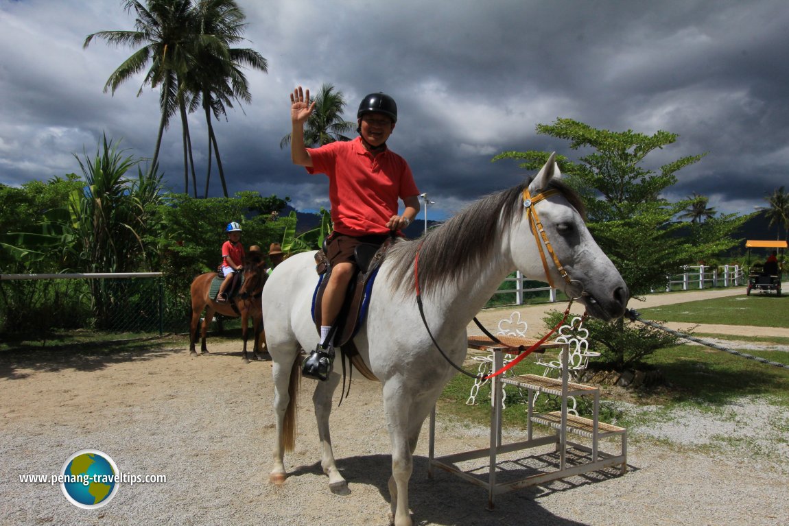 Countryside Stables Penang