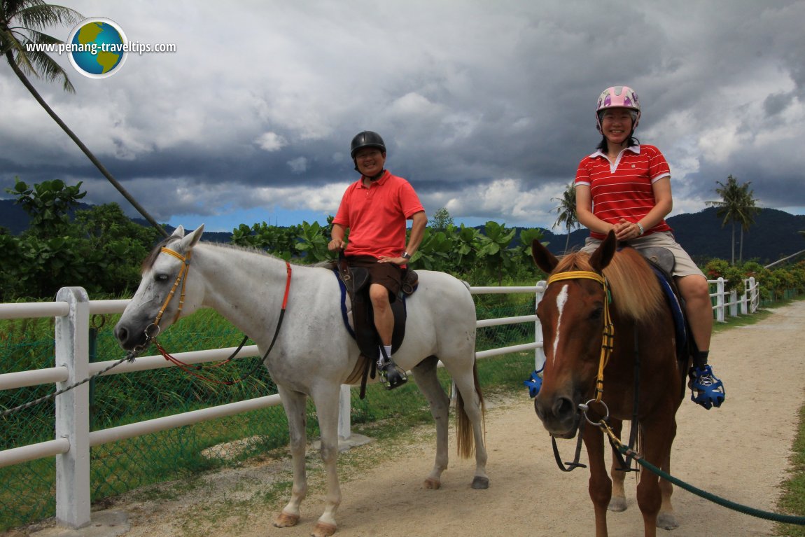 Countryside Stables Penang