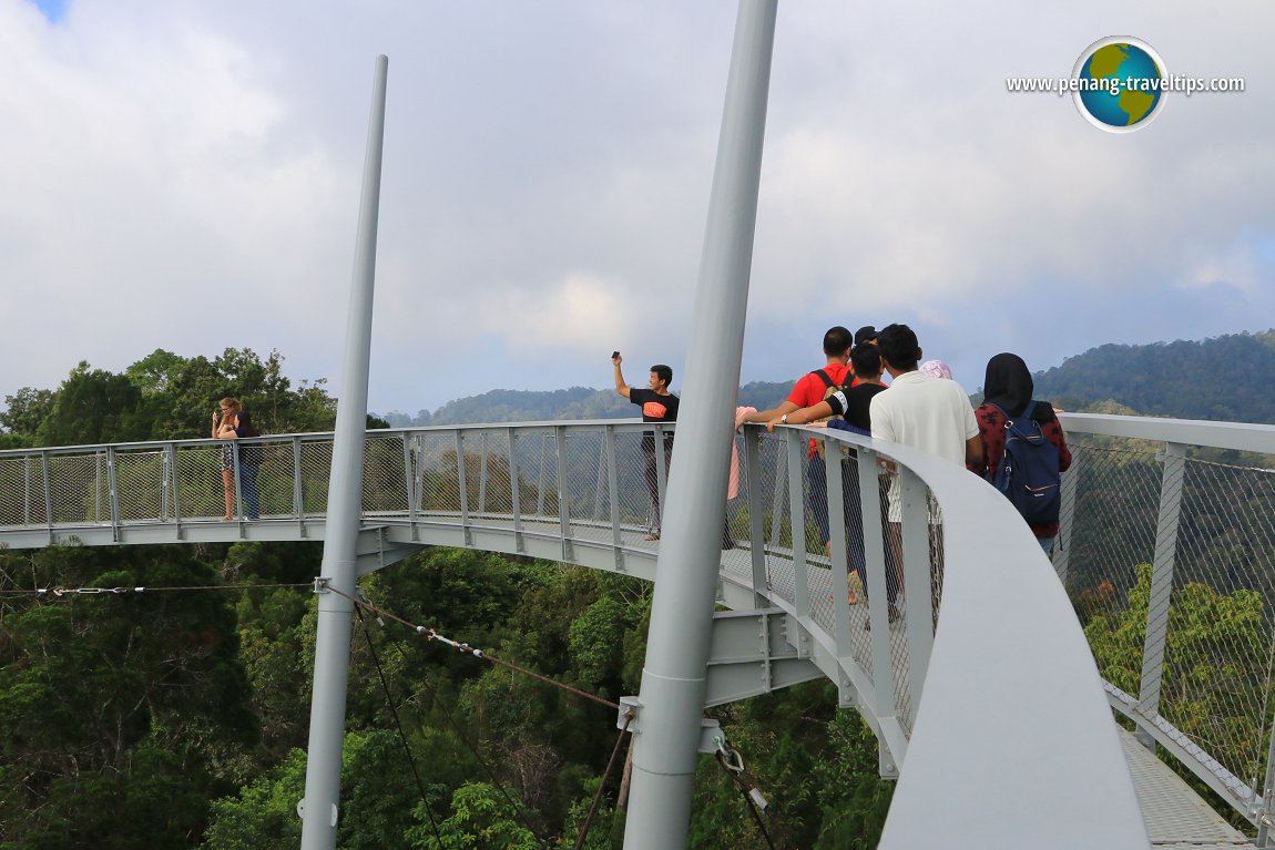 Curtis Crest Treetop Walk