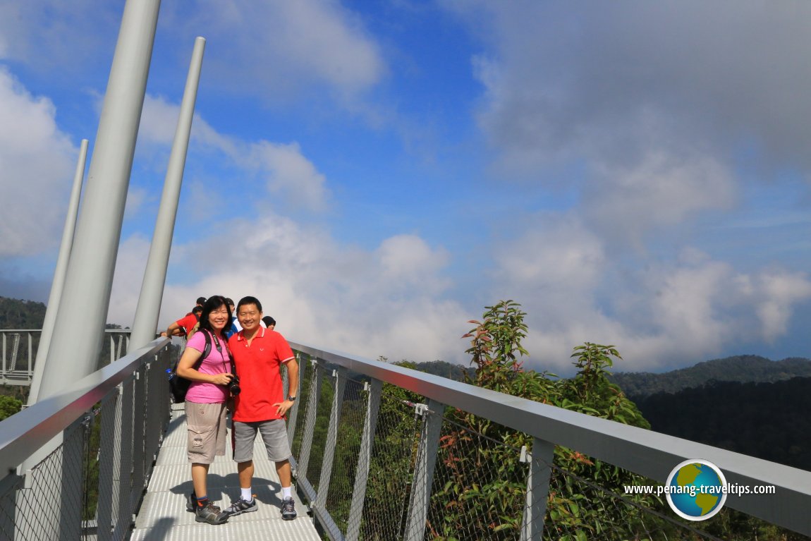 Curtis Crest Treetop Walk