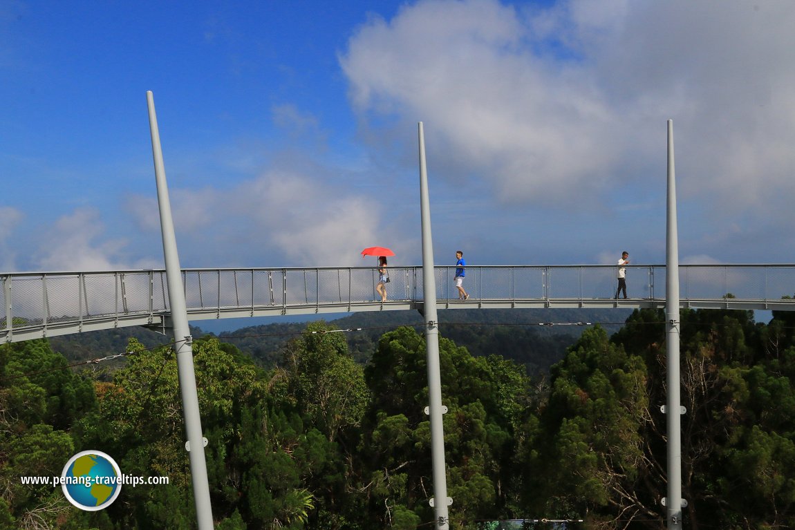 Curtis Crest Treetop Walk