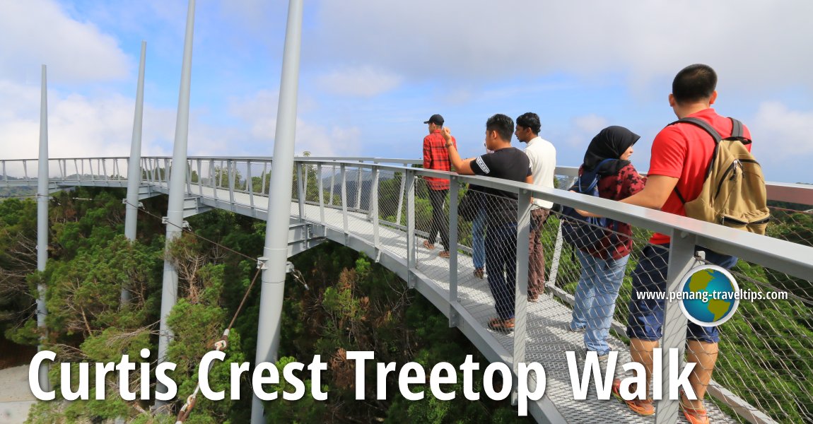 Curtis Crest Treetop Walk