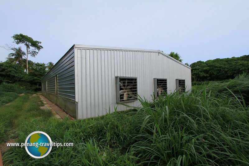 Climate-controlled barn at Happy Goat Farm