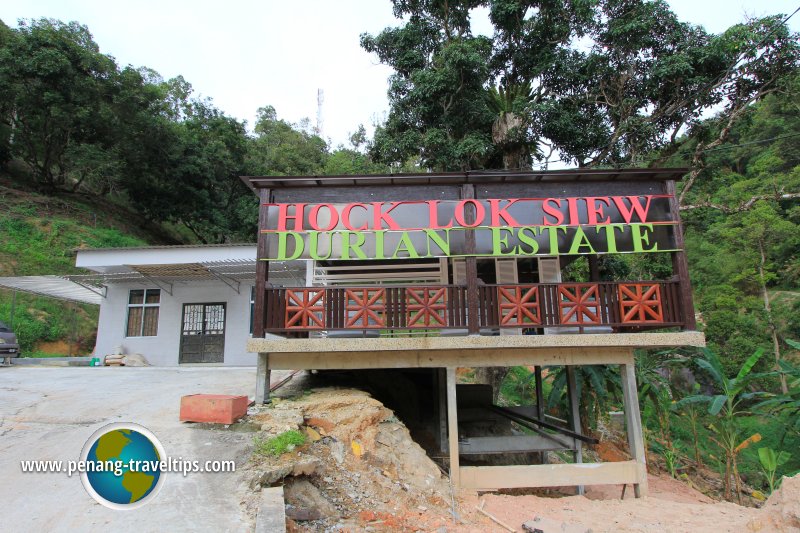 Hock Lok Siew Durian Estate