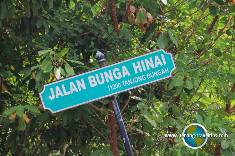 Jalan Bunga Hinai, Tanjung Bungah