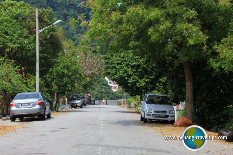 Jalan Cengai, Tanjung Bungah