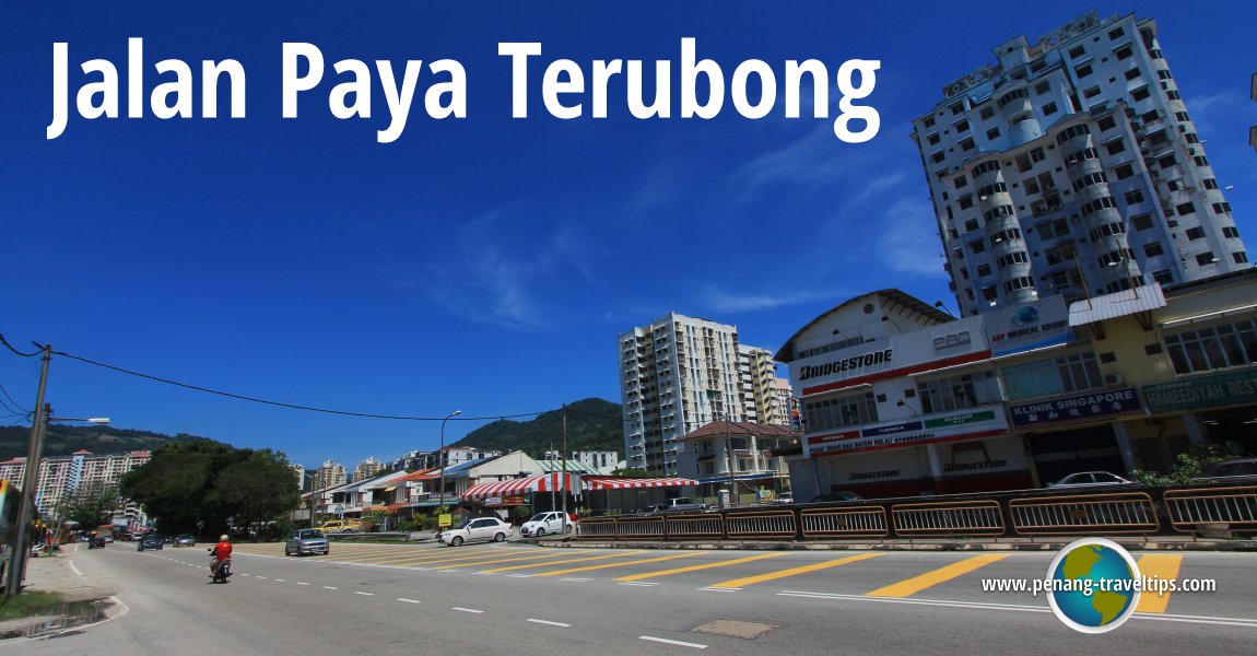 Jalan Paya Terubong