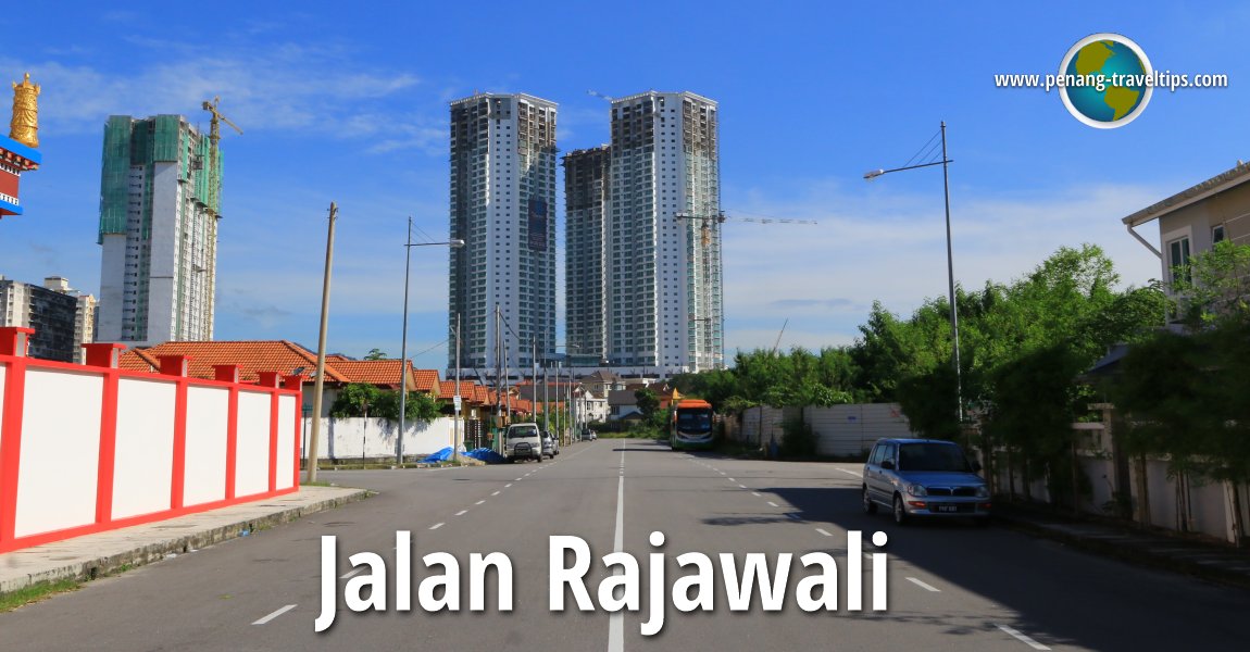 Jalan Rajawali, Sungai Ara