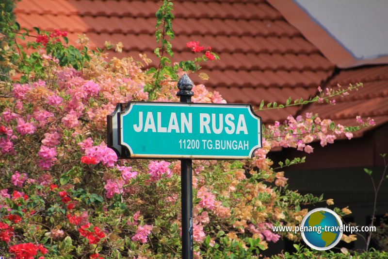 Jalan Rusa road sign