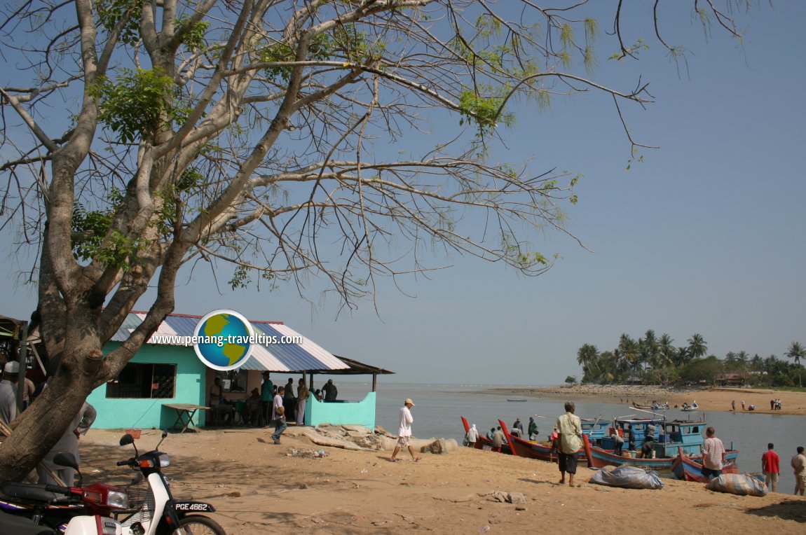 The bustling fishing port of Kampung Kuala Muda