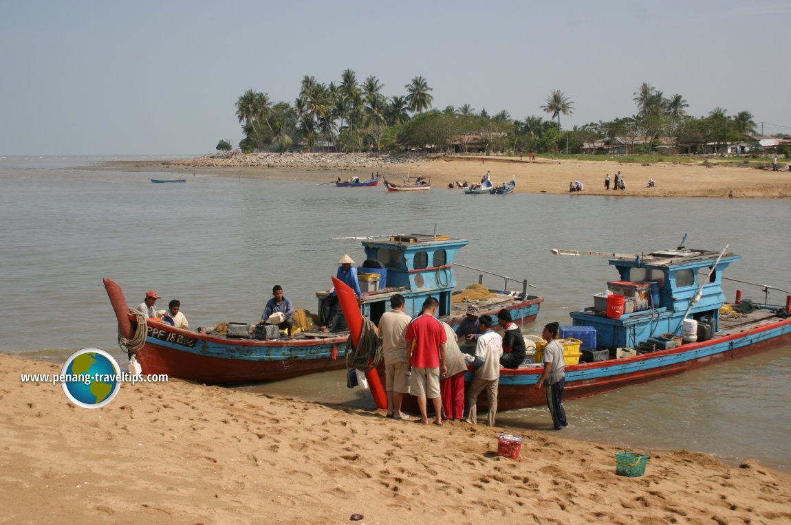 Fishing boats arriving at Kampung Kuala Muda